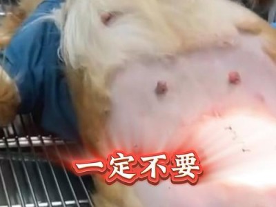 为什么应该给狗做绝育手术（探讨狗绝育手术的好处和重要性）
