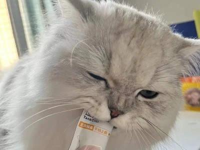 猫咪为何不吃任何食物？（探寻猫咪对食物的挑剔习性）