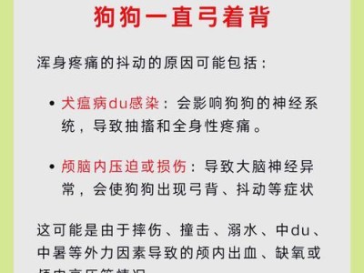 狗狗为什么经常“弓腰伸腿”？（探究狗狗弓腰伸腿行为的原因与意义）
