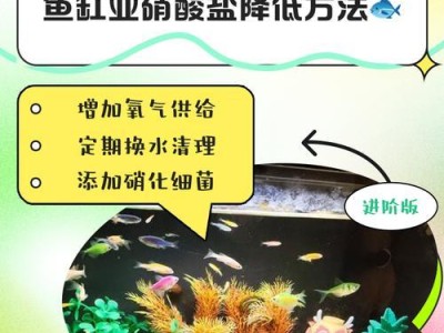 鱼缸加盐后多久喂食？（盐对鱼类的影响及喂食时间）