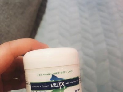 解决狗狗食物过敏的药物治疗方法（针对狗狗食物过敏的药物推荐及使用方法）