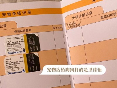 狗狗全年疫苗接种时间表（了解狗狗疫苗接种时间表和抗体形成的关系）