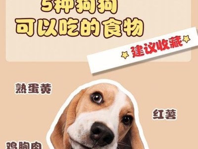 狗狗的饮食禁忌之乳制品（了解狗狗适合食用的乳制品及其关键信息）
