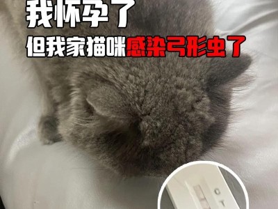 猫弓形虫病治疗多久？（了解治疗时间及关键因素）