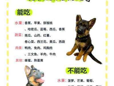 德国牧羊犬价格揭秘（了解德国牧羊犬的市场行情，了解它的价格是如何形成的）
