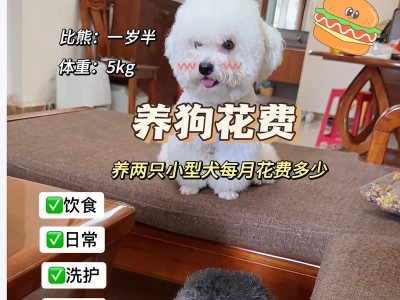 科学喂养方法（了解比熊的食量需求，给予科学合理的饮食）