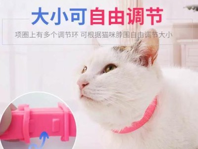 如何为你的宠物选择安全的除蚤项圈（保障宠物健康，有效预防蚤虫侵扰）