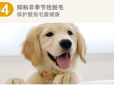 狗狗可以吃鸡蛋吗？（蛋白和蛋黄都可以吗？了解狗狗食用鸡蛋的好处）