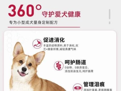 如何选择适合比熊狗的狗粮（满足比熊狗需求的高质量食品）