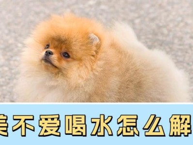 为什么狗不喜欢水？（探寻狗对水的厌恶原因及解决办法）