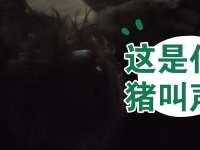 狗狗为什么会打呼噜？（探究狗狗打呼噜的原因及解决方法）