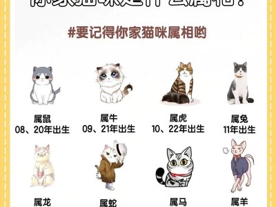 为什么不适合养长毛猫？（长毛猫的特点及养育难点）
