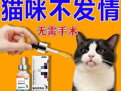 如何辨别刚出生小猫的公母？（细节决定一切，教你轻松辨别）