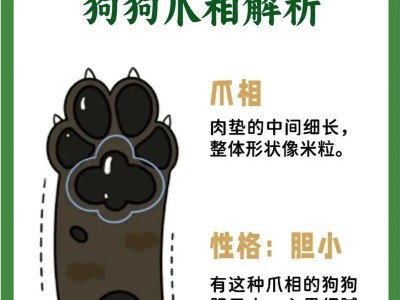 揭秘狗狗前爪上面突出的神奇之物（了解狗狗前爪上的瘤状突起及其功能与保健方法）
