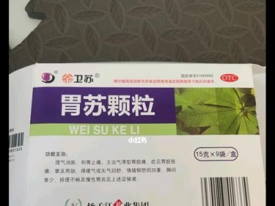 拉布拉多胃炎的药物治疗方案（缓解症状、促进康复的有效药物）