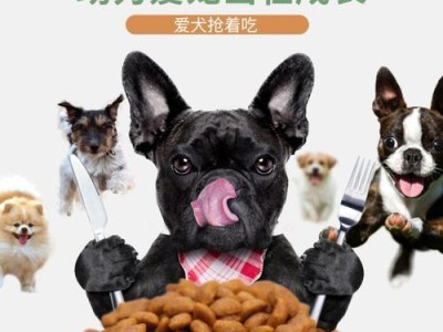猫老师一年的狗粮生活（以猫老师为例，了解猫和狗的饮食习惯和健康问题）