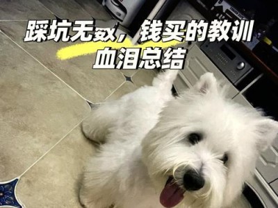 狗能憋屎尿多久？（揭秘狗的排泄能力与调控）