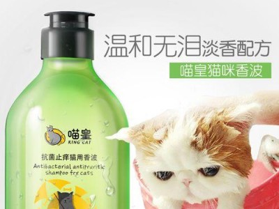 选用适合猫咪的沐浴露，让宠物健康又舒适（以猫咪洗澡应该用什么样得沐浴露？如何选择适合的沐浴露？）