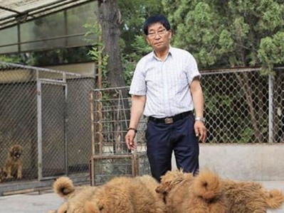 广东哪个地方的藏獒最多？（寻访广东藏獒之乡——探索最多藏獒的地方）
