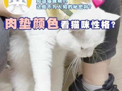 拉布拉多的肉垫之神秘色彩（揭秘拉布拉多的肉垫颜色，探寻其遗传学奥秘）