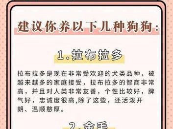 为什么卡斯罗犬是养狗的最佳选择？（以正气为主题，卡斯罗犬是你最好的伴侣）