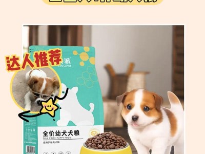 泰迪犬的最爱食物是什么？（探索泰迪犬的美食口味，你有尝试过吗？）