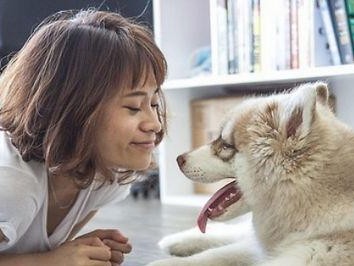 阿富汗猎犬脱毛症的治疗方法（宠物护理师的经验分享和专业建议）