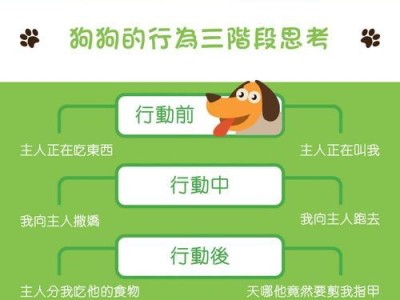 狗狗训练，从何时开始？（掌握训练时间，打造优秀宠物；幼犬阶段训练要点详解。）