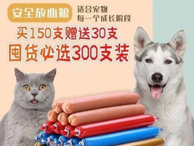 如何选择适合六岁泰迪的钙片（补钙需谨慎，选择正确的钙片至关重要）