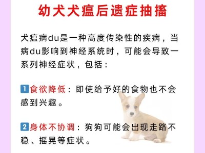 犬瘟症状及其变化情况（不同时期的犬瘟症状差异及应对措施）