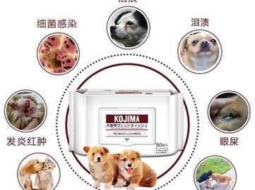 狗摔伤脚擦什么药好？—有效的治疗方法与建议（选择合适的药物是关键，让你的爱犬恢复健康快人一步）