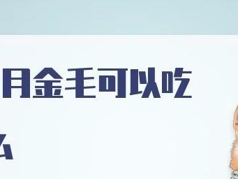 金毛幼犬的饮食需求及每日摄入量（了解金毛幼犬的饮食需求，保证其健康成长）