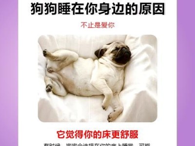 狗狗为什么喜欢靠着主人睡觉？（揭开狗狗靠睡迷人之谜）