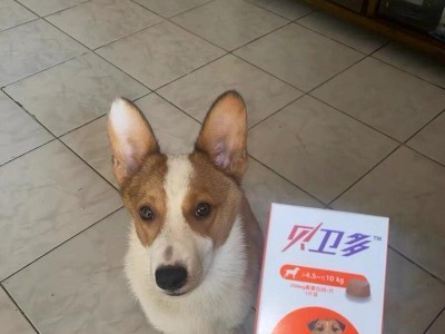 狗狗为何未能排出肠道寄生虫？（探究贵的驱虫药对狗狗的效果）