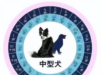 狗狗的年龄如何换算人的年龄（了解狗狗年龄的计算方法与准确性）