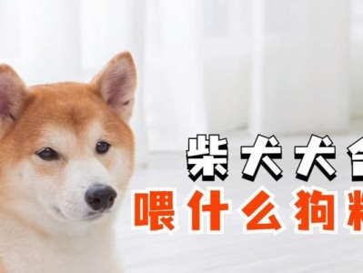 幼犬吃狗粮要注意什么？（了解幼犬食物需求，养成良好饮食习惯）