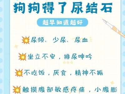 狗的尿结石（尿结石是什么？狗患尿结石的常见原因及预防方法）