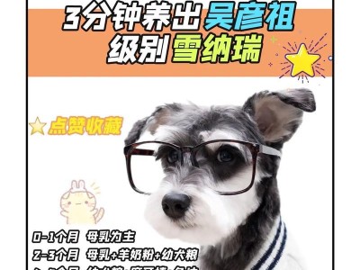 雪纳瑞犬饲养的7种错误方式，一生受益（如何正确饲养雪纳瑞犬，让它健康快乐一生）