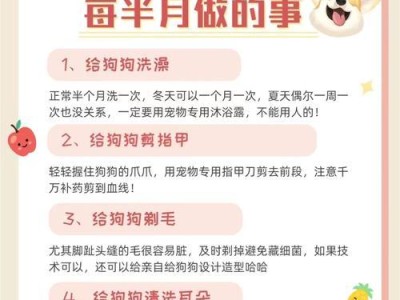 如何正确饲养小奶狗（注意事项和关键技巧）
