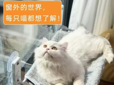 猫咪喜欢什么时候晒太阳？（探究猫咪的太阳晒晒时间及其重要性）