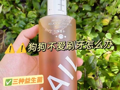 解决狗狗嘴臭的有效方法（让你的宠物犬再次拥有清新口气）