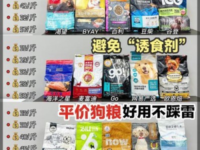 养狗新手必备（了解并满足你宠物的饮食需求，让你的狗狗健康快乐成长）