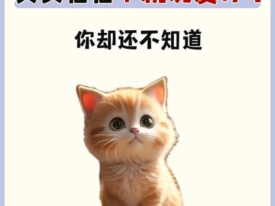 探索最火的几种猫猫（了解猫咪世界中最受欢迎的品种及它们的特点与魅力）