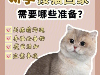新手养猫必备宠物用品清单（为您的爱猫做好准备，让生活更舒适）