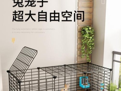 豚鼠笼子的设计与布置（打造舒适宜居的豚鼠家园）