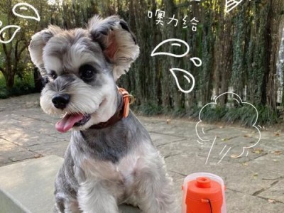 狗狗长途运输回来渴，该如何解渴？（狗狗运输途中的喂水方法与注意事项）