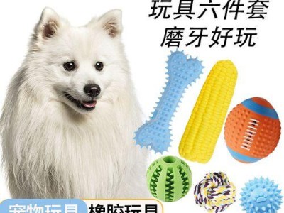 小狗狗被大狗咬伤，如何应对？（急救方法和预防措施）