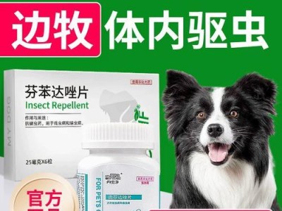 狗狗可以吃哪些药物？（了解狗狗用药的重要知识，保护它们的健康）