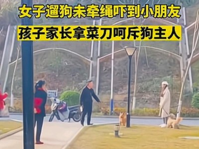 选择适合家庭的不咬人小型狗（让家庭更和谐的宠物选择）