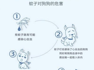 心丝虫感染的危害及预防方法（了解心丝虫感染的危害，有效预防心丝虫病）